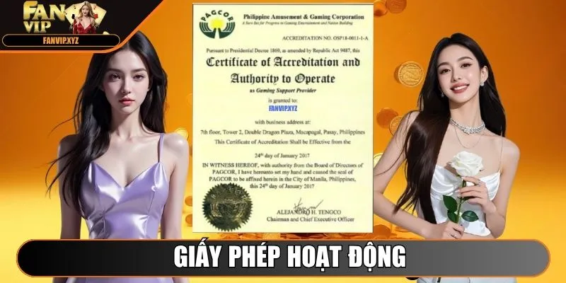 Giấy phép hoạt động