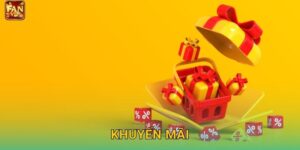 Khuyến Mãi Fanvip – Ưu Đãi Hấp Dẫn Mỗi Ngày