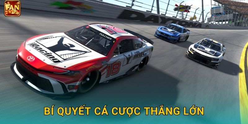 Bí quyết cá cược thắng lớn