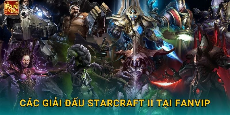 Các giải đấu StarCraft II tại Fanvip